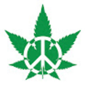 Meet your Posher, To